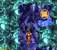 Clapper's Cavern DK Coin location.png
