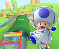 MKT Icon MarioRacewayRTN64 ToadAstronaut.png