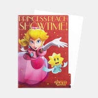My Nintendo PPS clear file.jpg