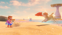 SMO-Seaside-Kingdom-Sunset-Dog.png