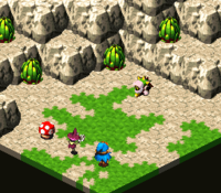 Mushroom Status.png