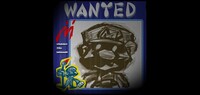 ShadowmarioposterHD.jpg