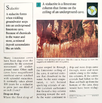 Stalactite quiz card back.png