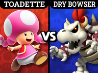 Awards2026 ATFCB ToadetteVsDryBowser.png
