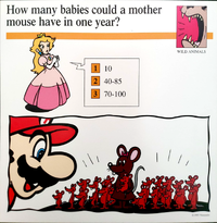 Babies mouse quiz card.png