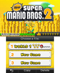 NSMB2-Completion File.png