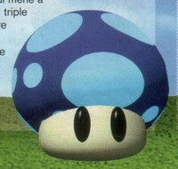 BlueMushroomSM64DS.jpg