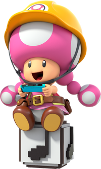 Builder Toadette Play.png