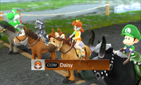 Daisy Horse Pro-MSS.png