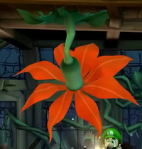 LM2HDOrangeflowerbehind.png