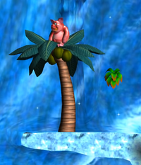 Coco Pig in tree DKJB.png