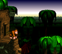 DK TreeHouse DKC.png