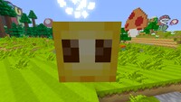 Minecraft Mario Mash-Up Lava Bubble.jpg