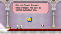 NSMBBMB17.png