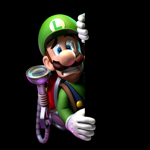 480px-Luigi-II.jpg