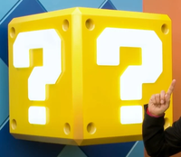 SNWQuestionBlockCropped.png