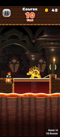 VS Bowser SMR.png