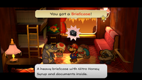 Excess Express (Briefcase) (Switch).png