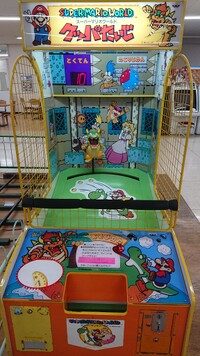 KoopaTaijiFull.jpg