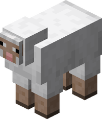 Minecraft Sheep.png