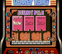 DKGB SGB File Select.png