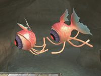 Feyesh.jpg