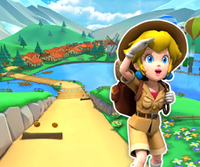 MKT Icon DaisyHillsR3DS PeachExplorer.png