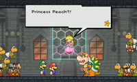 Peach Captured SPM.png
