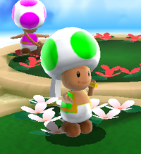 SMG2 Banktoad 4.png