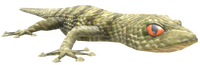 SMOGeckoModel.png