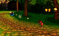 DK64 Peanut Popguns.png