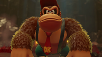 NM DKB Enter DK.png
