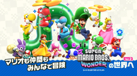 WnSe 2.webp