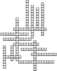 WordSearch 173 3.png