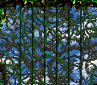 DKC2 Vine.png