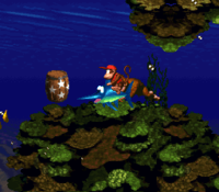 DKC V1 2.png