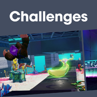 NM DKB Challenges PL.png