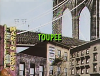 TSMBSS Toupee title card.png