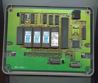 Nintendo Campus Challenge 1992 cartridge.jpg