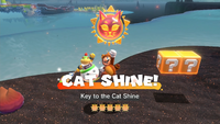 RoilingRollerIsle KeytotheCatShine.png