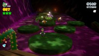 193SW4Steps-3.jpg