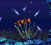 Croctopus Chase 4.png