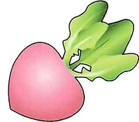 Giant Vegetable SMA artwork.jpg