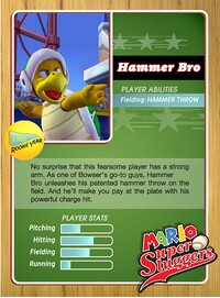 Level1 Hammerbro Back.jpg