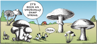 Mutts - 20130505.png