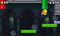 NSMB2 W4-Ca 3rd Star Coin.png