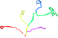 Dino Dino Jungle Routes.png