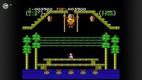 MariospectiveDK3-5.jpg