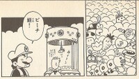 Mario Catcher SML21.jpg