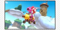 PN MK8DLC Personality Quiz Birdo.jpg